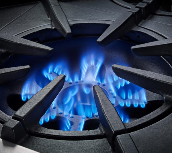 bluestar stove flame burner